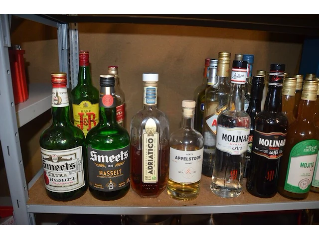 Ca. 15 flessen mojito, ca. 19 flessen diverse drank w.o. smeets, campari, martini, ricard (16,17) - afbeelding 6 van  6