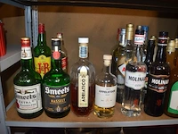 Ca. 15 flessen mojito, ca. 19 flessen diverse drank w.o. smeets, campari, martini, ricard (16,17) - afbeelding 6 van  6