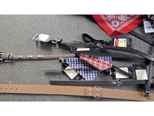 Ca 15st halsband voor hond - afbeelding 3 van  4