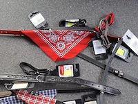 Ca 15st halsband voor hond - afbeelding 4 van  4