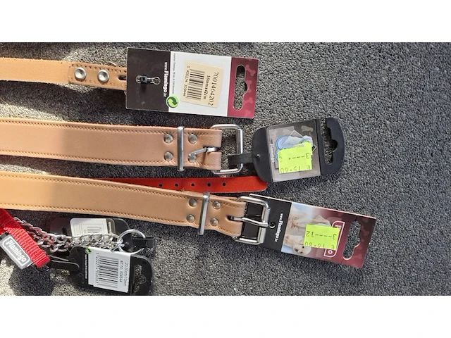 Ca 15st halsband voor hond - afbeelding 2 van  4