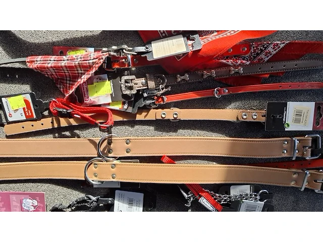 Ca 15st halsband voor hond - afbeelding 3 van  4