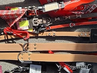 Ca 15st halsband voor hond - afbeelding 3 van  4