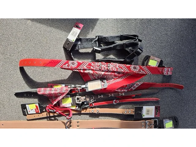 Ca 15st halsband voor hond - afbeelding 4 van  4