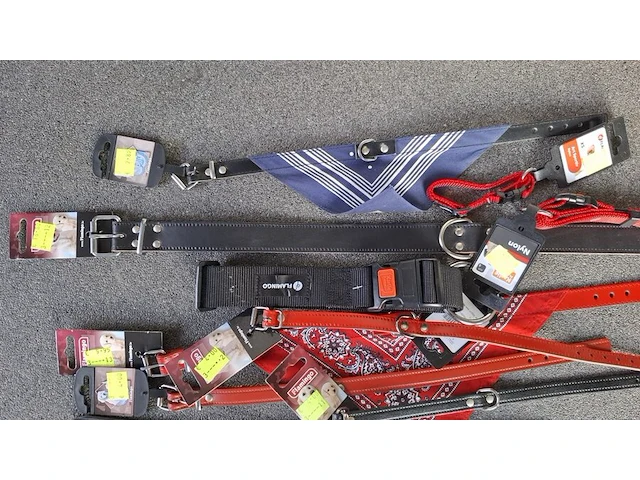 Ca 15st halsband voor hond - afbeelding 3 van  3