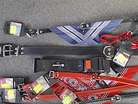 Ca 15st halsband voor hond - afbeelding 3 van  3