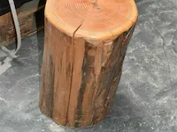 Ca. 16 boomstamzitjes ca. 45 cm hoog diverse doormeters - afbeelding 2 van  4