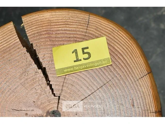 Ca. 16 boomstamzitjes ca. 45 cm hoog diverse doormeters - afbeelding 3 van  4