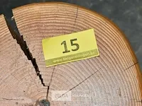 Ca. 16 boomstamzitjes ca. 45 cm hoog diverse doormeters - afbeelding 3 van  4