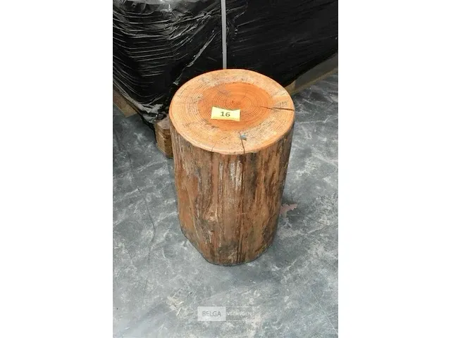 Ca. 16 boomstamzitjes ca. 45 cm hoog diverse doormeters - afbeelding 2 van  4