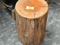 Ca. 16 boomstamzitjes ca. 45 cm hoog diverse doormeters - afbeelding 2 van  4