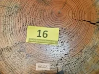 Ca. 16 boomstamzitjes ca. 45 cm hoog diverse doormeters - afbeelding 3 van  4
