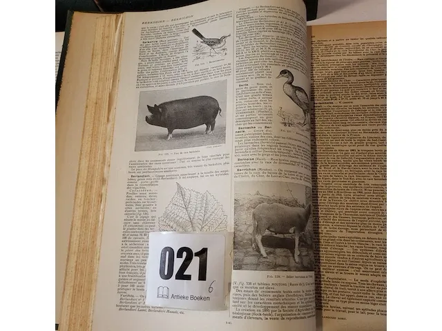 Ca 1930 6 wetenschappelijke boeken oa larousse... - afbeelding 12 van  12