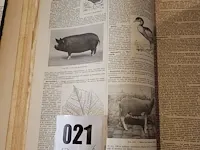 Ca 1930 6 wetenschappelijke boeken oa larousse... - afbeelding 12 van  12