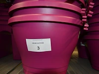 Ca 41 bloempot elho fuchsia - afbeelding 3 van  5