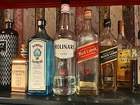 Ca 50 flessen diverse geestrijke drank - afbeelding 11 van  14