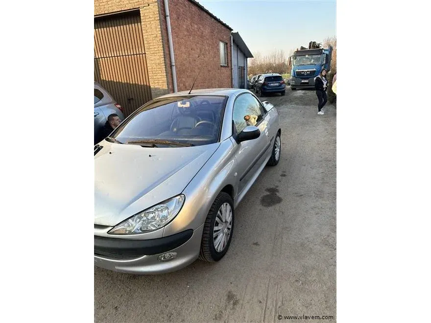 Personenauto’s, stationwagens, caravans, lichte vrachtwagens, cabrio’s enz.