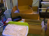 Cadeauverpakking karton - afbeelding 1 van  4