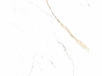 Calacatta gold glossy 115.2m² - afbeelding 2 van  2