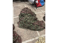 Camo netten - afbeelding 5 van  5