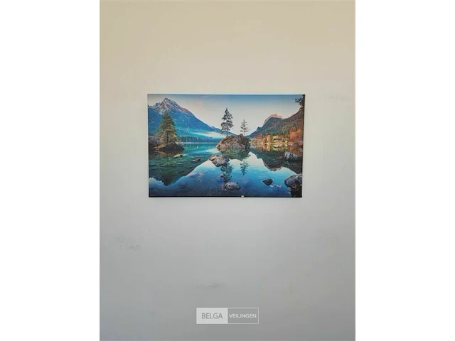 Canvas schilderij 60x40 cm - afbeelding 1 van  1