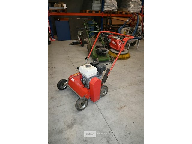 Caravaggi gazonverluchter - afbeelding 1 van  6