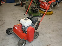 Caravaggi gazonverluchter - afbeelding 1 van  6