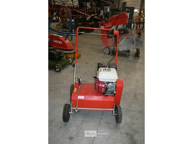 Caravaggi gazonverluchter - afbeelding 2 van  6