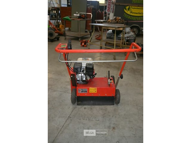 Caravaggi gazonverluchter - afbeelding 3 van  6