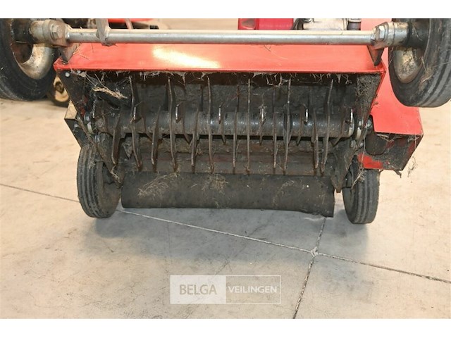 Caravaggi gazonverluchter - afbeelding 4 van  6