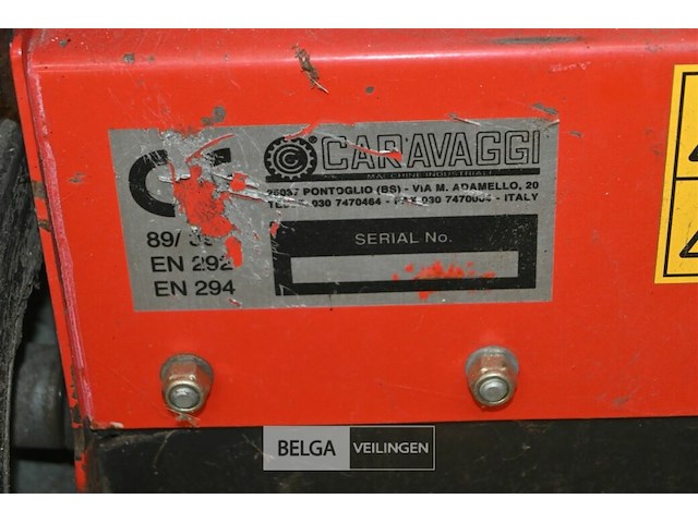 Caravaggi gazonverluchter - afbeelding 5 van  6