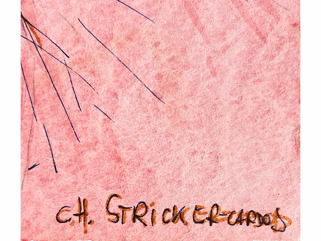 Carl heinz stricker cardos - aquarel - afbeelding 7 van  7