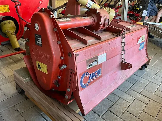 Caroni grondfrees - afbeelding 2 van  4