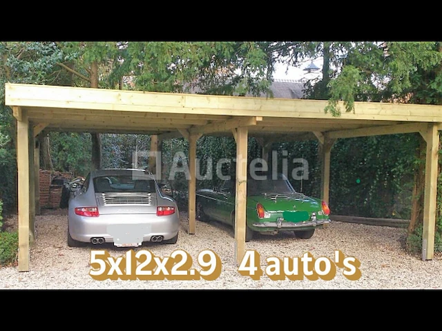 Carport 4 autos 5x12x2,9 - afbeelding 1 van  1