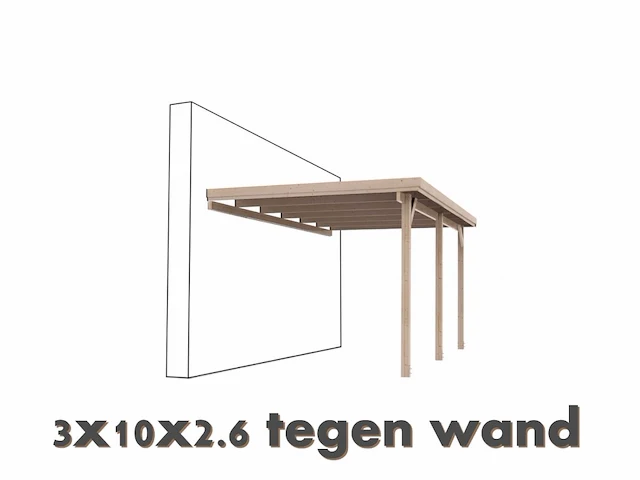 Carport tegen muur 3x10x2,6 - afbeelding 1 van  1