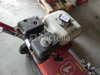 Carravagi verticuteermachine 62227 - afbeelding 4 van  6