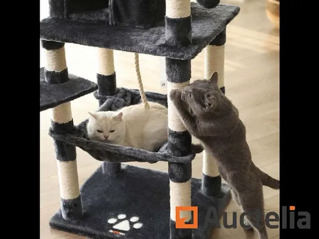 Cat as 143 cm donkergrijs - afbeelding 4 van  4