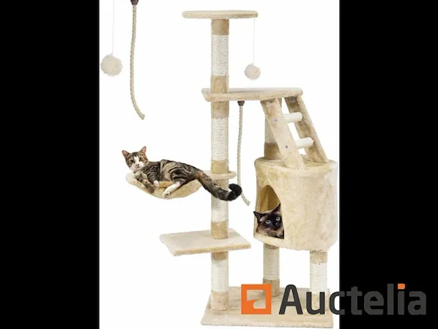 Cat as met grot, holte, platforms & sisal - afbeelding 1 van  2