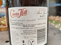 Cavas hill cava brut 11,5% - afbeelding 3 van  3