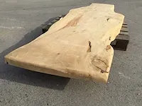 Ceder boomstamtafel - afbeelding 2 van  19