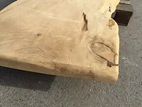 Ceder boomstamtafel - afbeelding 3 van  19