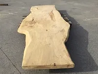 Ceder boomstamtafel - afbeelding 13 van  19