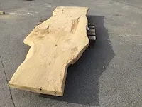 Ceder boomstamtafel - afbeelding 14 van  19