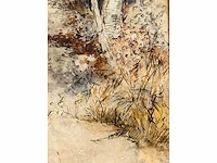 Ch. grips - boswegel - aquarel - afbeelding 3 van  11