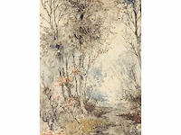 Ch. grips - boswegel - aquarel - afbeelding 6 van  11