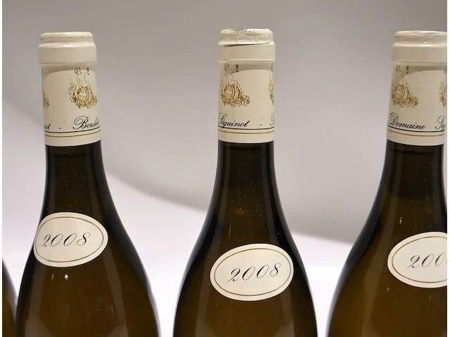 Chablis grand cru vaudésir jf bordet 2008 (x13) - afbeelding 7 van  8