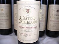 Chateau canteloup 2004 (x8) - afbeelding 2 van  6