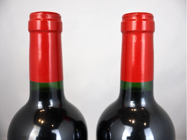 Chateau sablard du grand moine 2006 (x2) - afbeelding 3 van  4