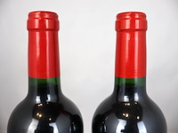 Chateau sablard du grand moine 2006 (x2) - afbeelding 3 van  4