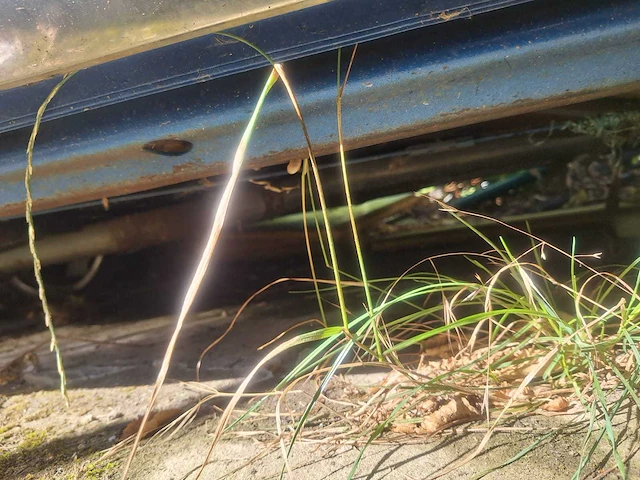 Cheverolet el camino 350 cu 5.7 oldtimer - afbeelding 7 van  15